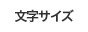 文字サイズ